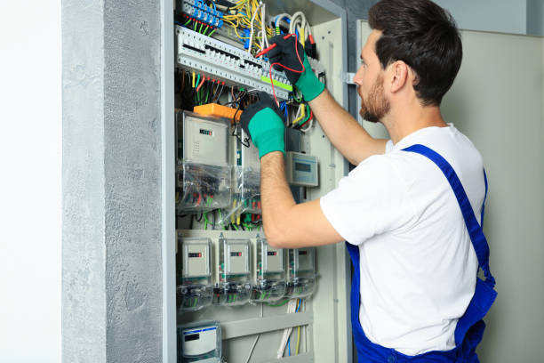 Best Home Electrical Repair  in Pleasanton, KS